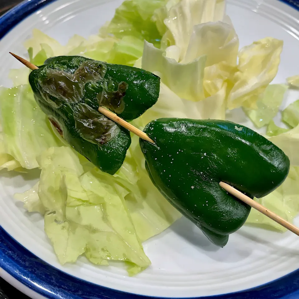 ピーマン|T. Wonderさん