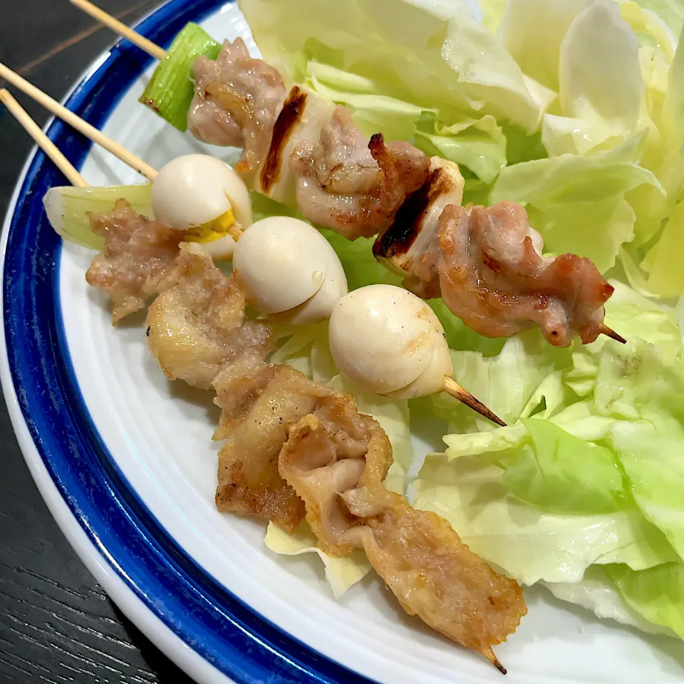 とり皮、せせり、うずら卵|T. Wonderさん