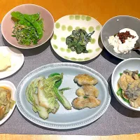 火曜日の居酒屋|ビューリップさん