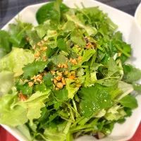 パクチーサラダ🥗| Yoshiko Iさん