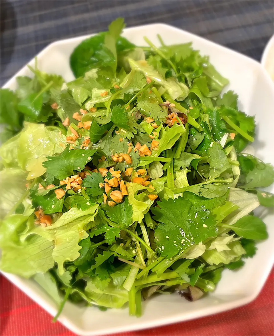 パクチーサラダ🥗|Yoshiko Iさん