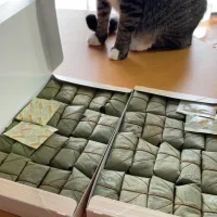 柿の葉寿司|タマ三郎さん