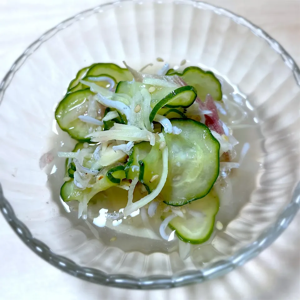 酢の物|藤田 まり子さん