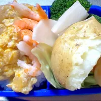 今日のお弁当^_^☆★| ゆきっちさん