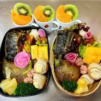 鯖焼きお弁当。玉ねぎ半切り甘酢焼きなど。#毎日のお弁当記録。| じゅんちゃんさん