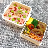 自分用お弁当|めいさん