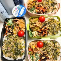 今日のお仕事&学校弁当♪2025.12.3|ぐぅさん