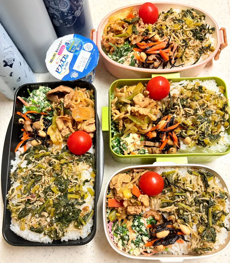 今日のお仕事&学校弁当♪2025.12.3|ぐぅさん