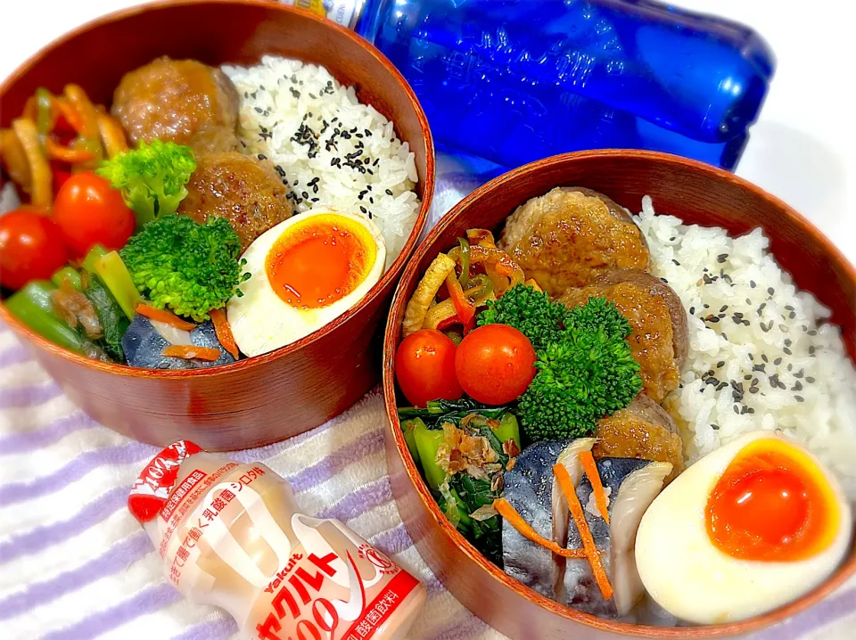 今日の夫婦弁⁽⁽ ◟(灬 ˊωˋ 灬)◞ ⁾⁾💕|桃実さん