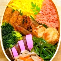 二色（錦糸卵､鮭）弁当🍱|にゃん(=^・^=)さん