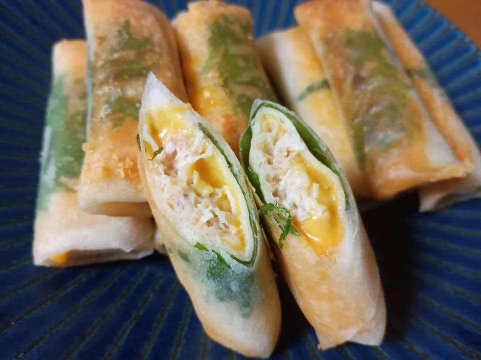 鶏むね肉のチーズ春巻き|ゆずさん