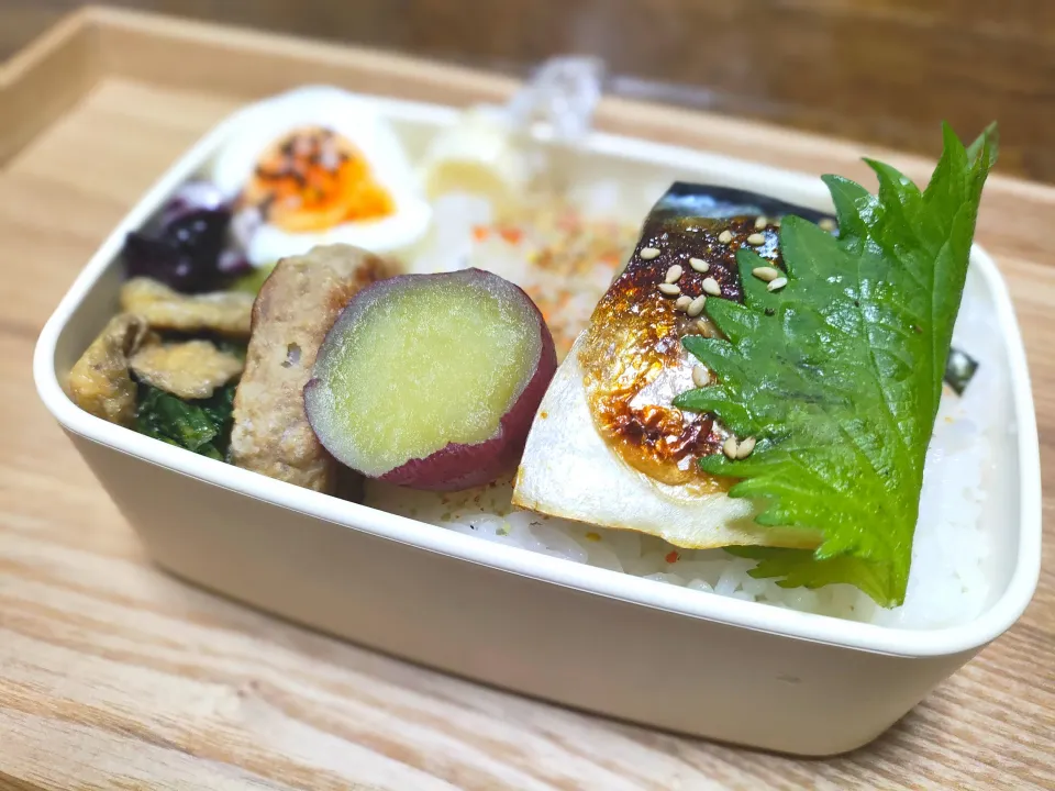 鯖の塩焼きのっけ弁当☆冷凍ハンバーグ|まな☆さん