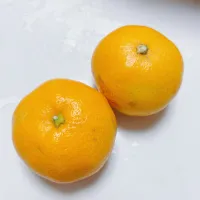 みかん🍊|まめさん