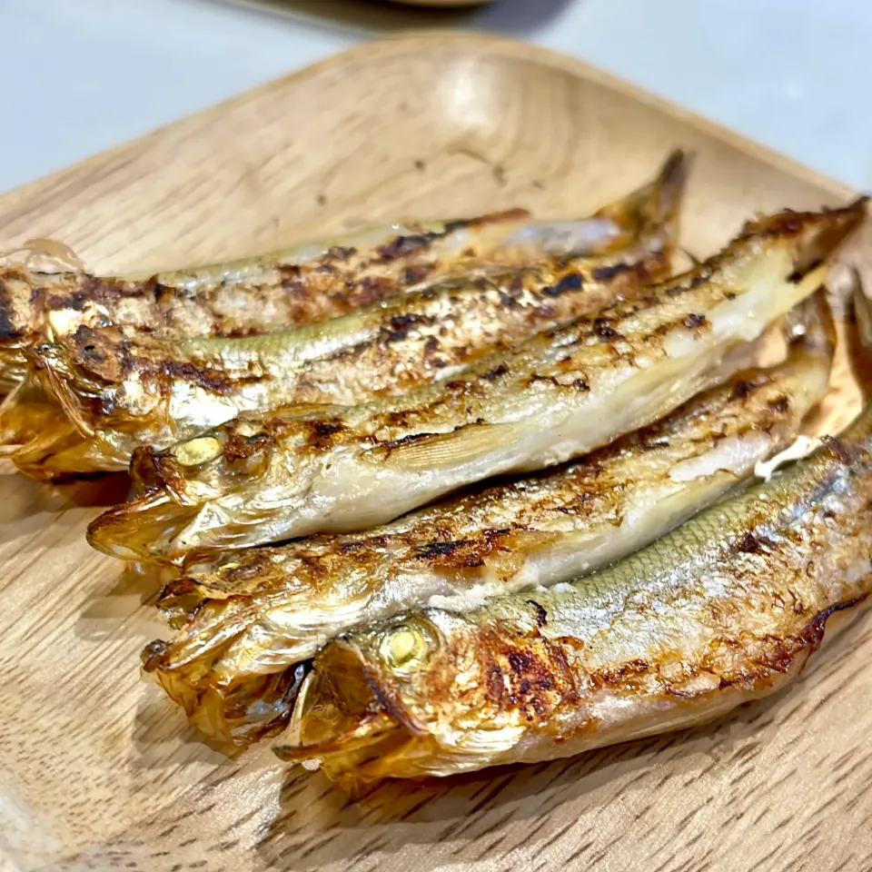 本ししゃも|ぎんさん