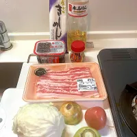 今日の晩ご飯①  味噌煮込みとんしゃぶみぞれ鍋きしめん（長ったらしーなー）を作ります|なびさん