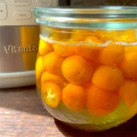 ビタントニオヨーグルトメーde蜂蜜金柑シロップ| 9421beruさん