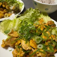 とろふわ鶏肉|くるみさん