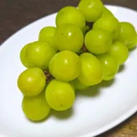 シャインマスカット|ぱんだのままんさん