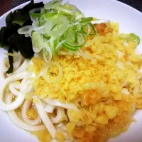 冷やしたぬきうどん| y.,yuukiさん