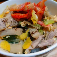 中華丼（…っぽいもの）|Apolloさん