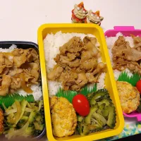 娘、夫、私弁当|みどりさん