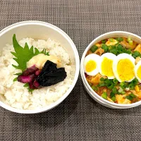 高校生息子のお弁当🍱 麻婆豆腐弁当🍱|Snow10さん