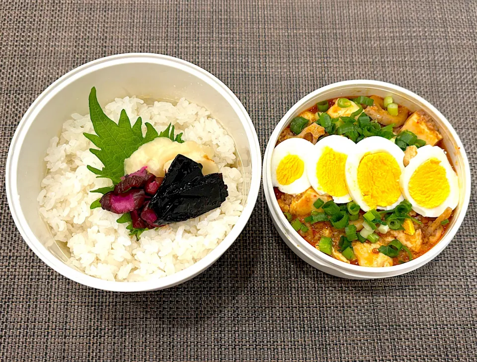 高校生息子のお弁当🍱 麻婆豆腐弁当🍱|Snow10さん