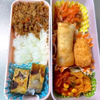 春巻/白身フライ/そぼろ弁当|あおのりさん