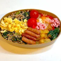 2025.12.04 JKのお弁当| こむぎさん