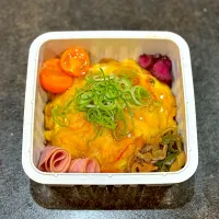 天津飯弁当¨̮♡︎|ミムリンさん