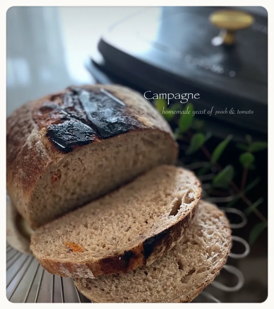 桃酵母 de カンパーニュ                            焦げてもぉた(￣▽￣;)|yucca@さん