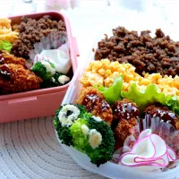 2色丼弁当|やまおんなさん