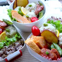 えのきと蓮根たっぷり焼売弁当|やまおんなさん