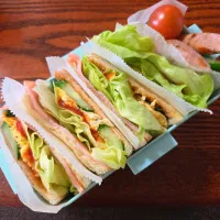 今日のお弁当|aoiさん