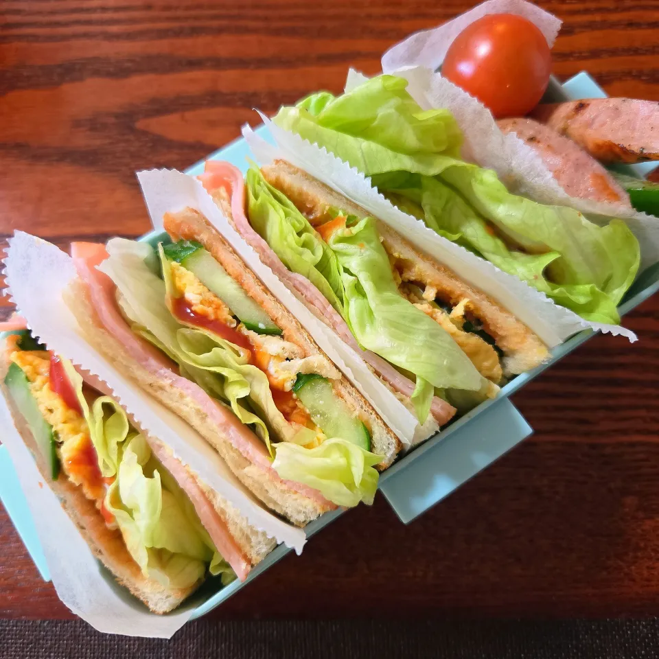 今日のお弁当|aoiさん