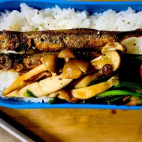 2025/12/04(木)弁当|ご飯はん♪さん