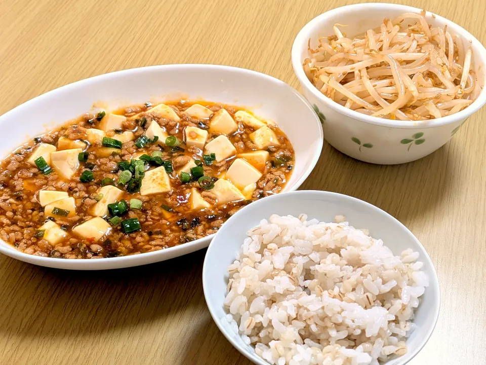 麻婆豆腐＆もやしナムル|akaneさん