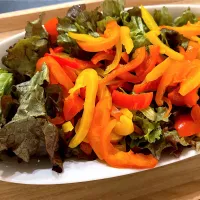 彩りサラダ|茶茶茶さん