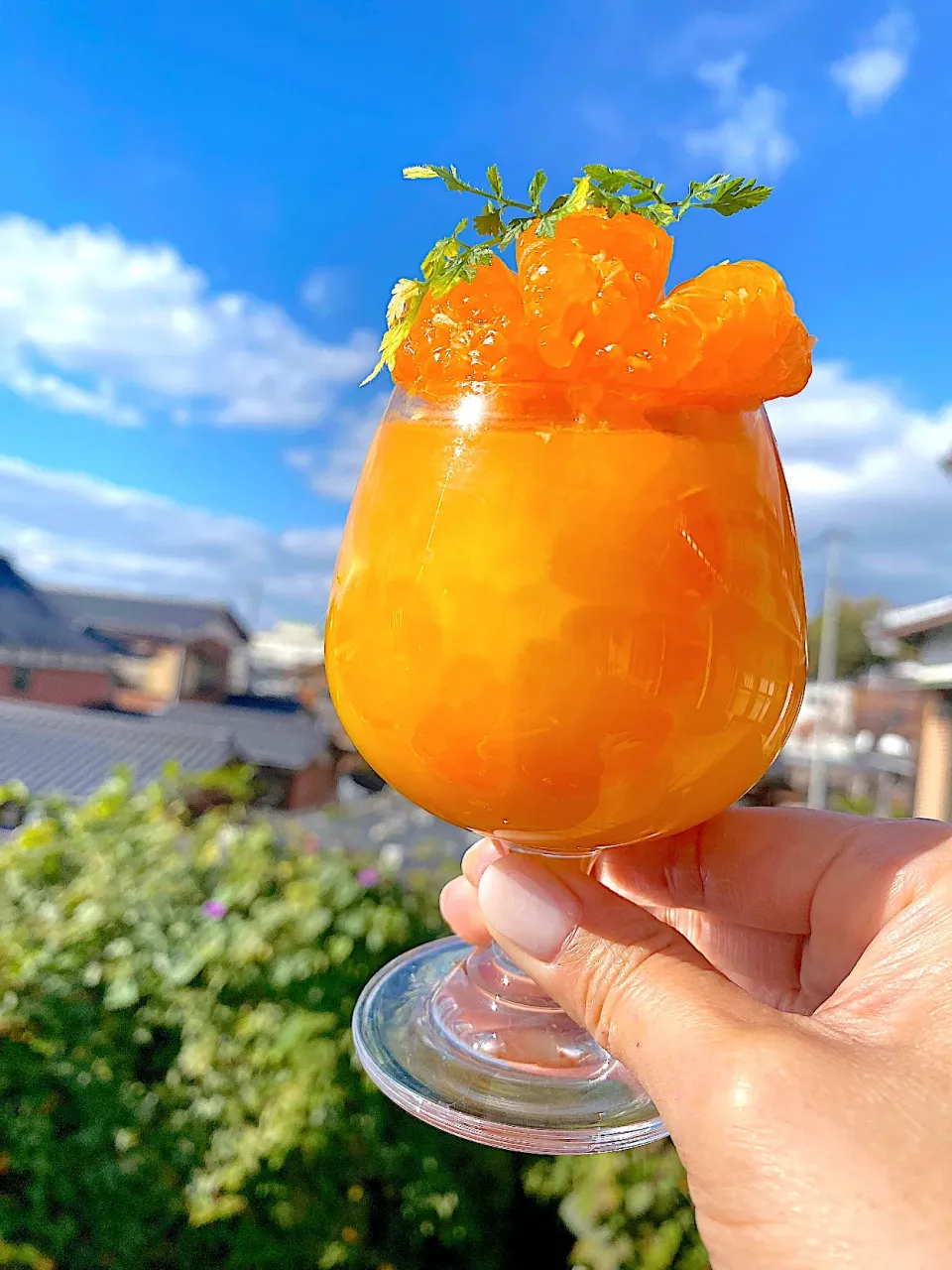 |Saori Nishidaさん