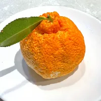 |みーちゃんさん