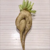 大根・人参・蓮根のきんぴら| ことちゃんさん