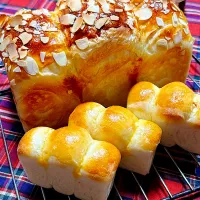 2025/12/04山食パンと小山食パン|Blueberry🫐さん