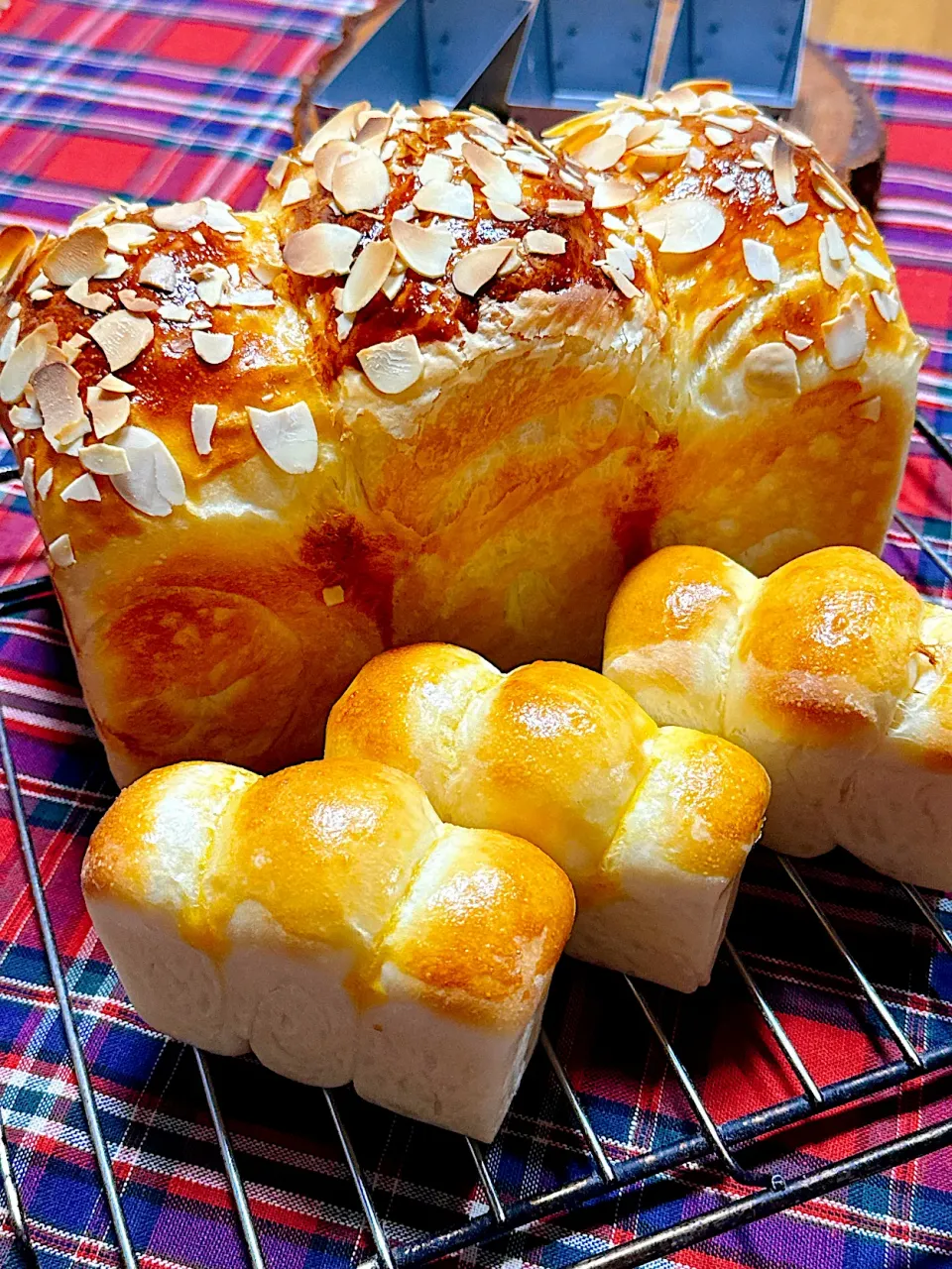 2025/12/04山食パンと小山食パン|Blueberry🫐さん