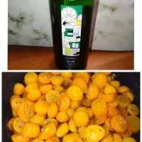 金柑の白ワイン煮|秀美«シュウビ»さん