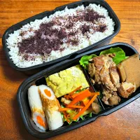 2025/10/28 お弁当|naomikaさん