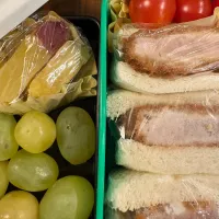 251202|GO GO ぴょんきちさん