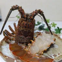 伊勢海老のお造り|Sasaさん