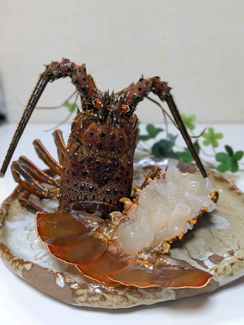 伊勢海老のお造り|Sasaさん