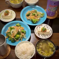 今日の晩ご飯🌟| マイコさん