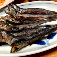 たれ口イワシ（カタクチイワシ）（ほおダレイワシ）のめざし|🐈⸒⸒⸒⸒つるのダンス🐈🐾さん